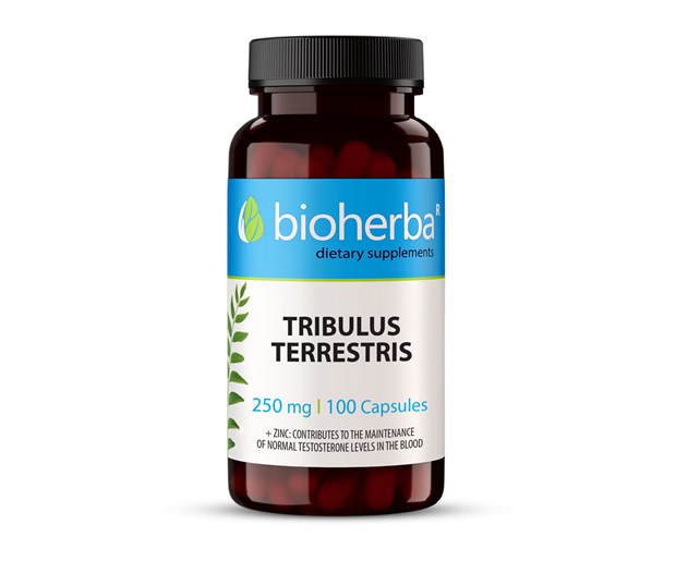 Bioherba Tribulus terrestris