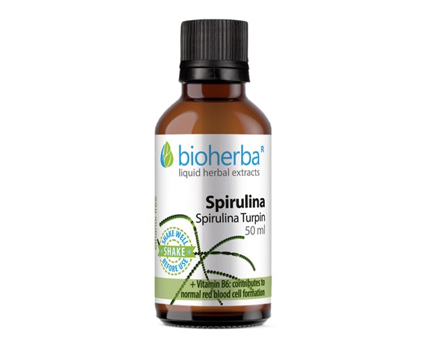 Bioherba tinktura spiruline