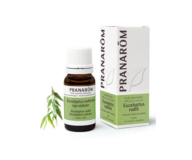 Pranarom eterično ulje eukaliptus radiata 10ml