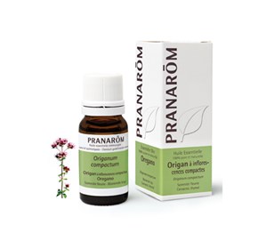 Pranarom eterično ulje mravinac 10ml